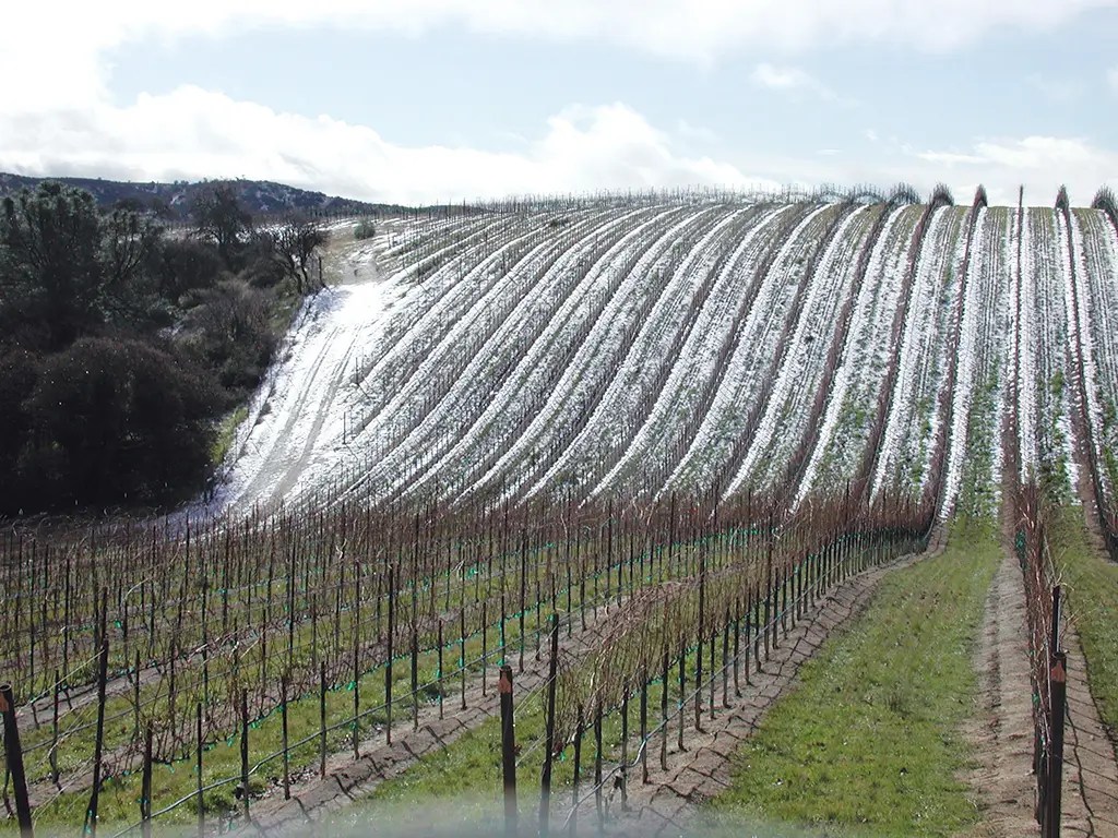 chalone vineyard panel our vineyards climate