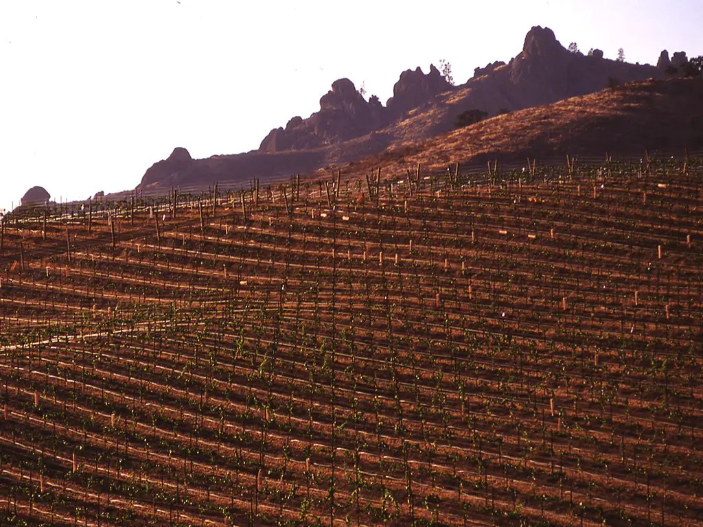 chalone vineyard panel our vineyards terroir